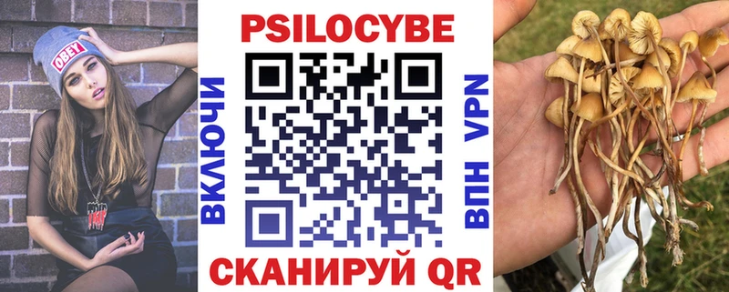 наркота  Ивдель  Галлюциногенные грибы Cubensis 